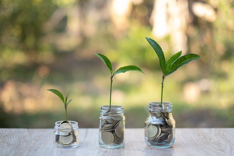 The Concept Of Saving Money And Investing Trees In A Glass Jar W