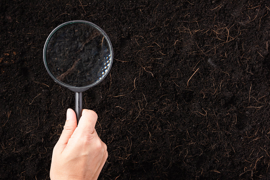 Top View The Hand Of Researcher Woman Holding A Magnifying Glass