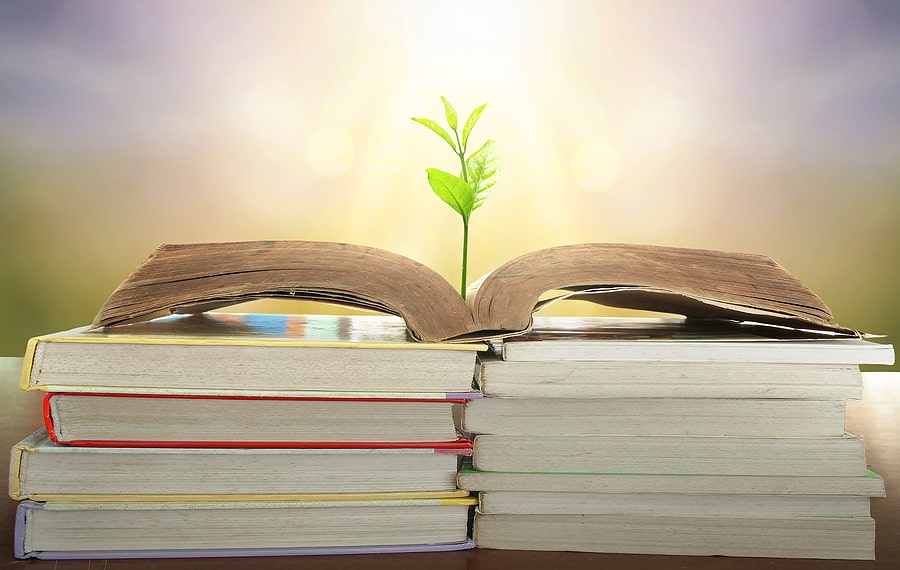 World Philosophy Day Education Concept: Tree Of Knowledge Planti